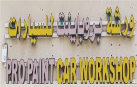 Pro Paint Car Workshop (Smart Repair Auto Repair Workshop)